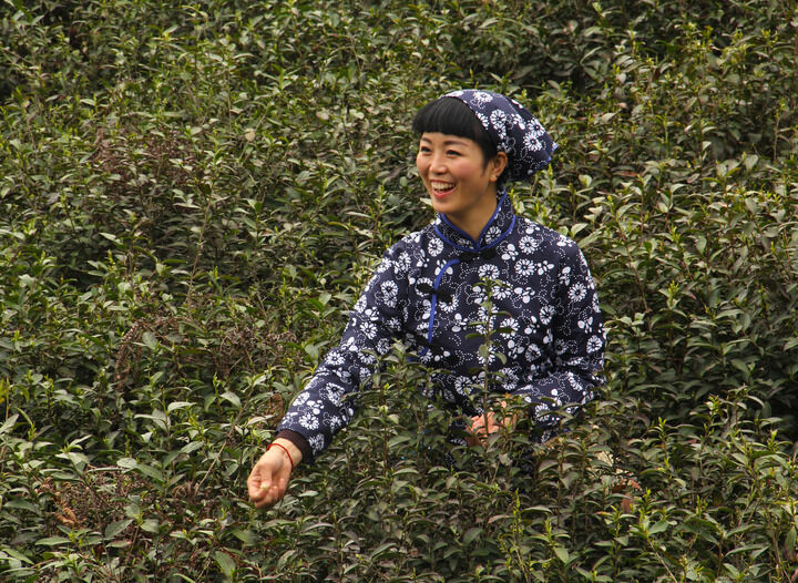 专题2
